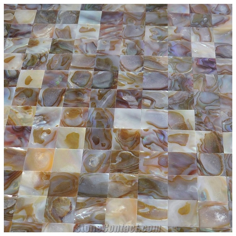 Iridescent Seashell Mosaic Wall Tile Backsplash 12 X 12 Square Pattern