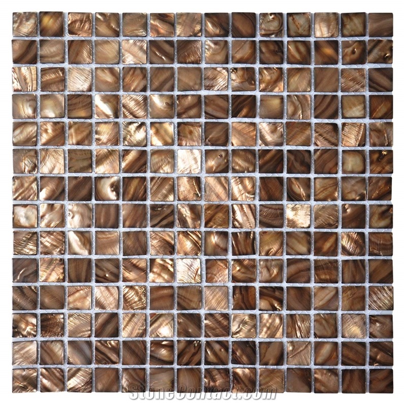 Nature Brown Sea Shell Mosaic Wall Backsplash Tile Square 12 X 12