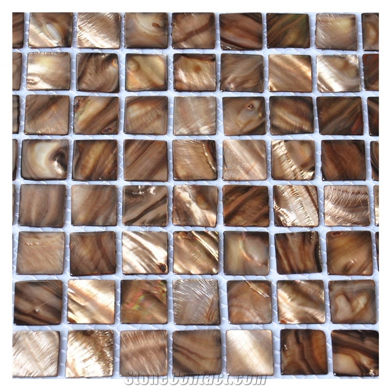 Nature Brown Sea Shell Mosaic Wall Backsplash Tile Square 12 X 12