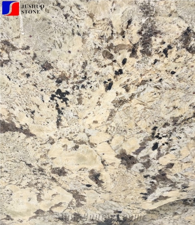 Polished India Alaska White Granite Tile Slabs Wall Kitchen Cladding