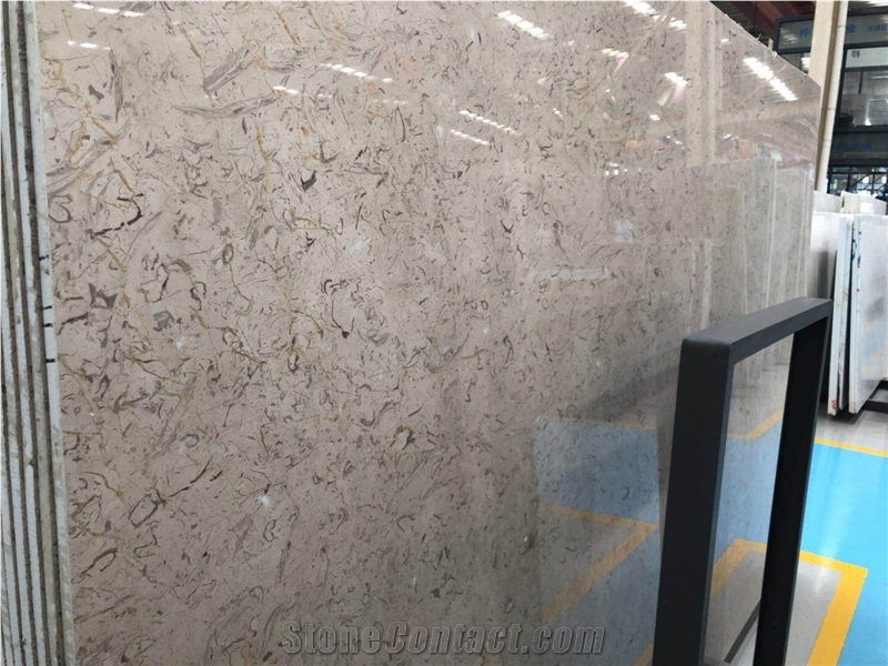 Natural Stone Moon Grey Marble Slab/Tile for Floor&Wall Covering