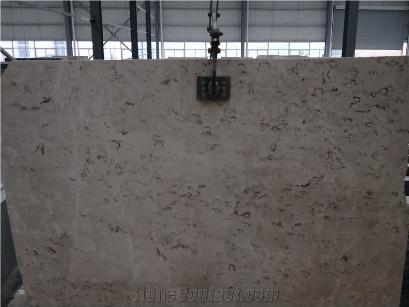 Own Factory Castle Grey Marble Slab&Tile for Floor&Wall Decor