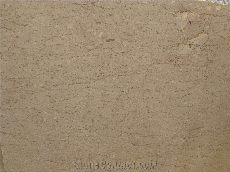 Polished Bella Beige Marble Slab&Tile for Kitchen/Bathroom/Wall/Floor