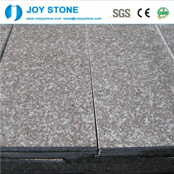 China Best Price Natural Pink Stone Polished G664 Granite Tiles 60x30