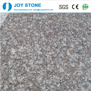 China G664 Granite Cut to Size Polished Tile for Wall and Floor 30x30