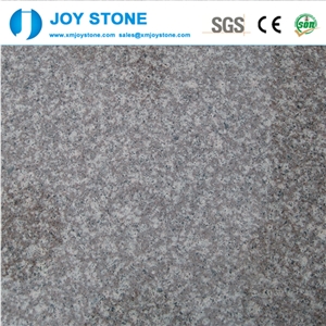 China G664 Granite Cut to Size Polished Tile for Wall and Floor 60x60