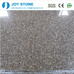 Manufacturer G664 Pink Granite Tile and Steps Cheap Hot Sale 30x30