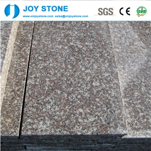 Manufacturer G664 Pink Granite Tile and Steps Cheap Hot Sale 30x60