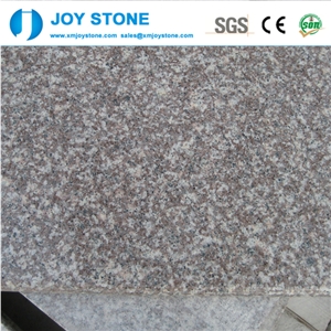 Pink Granite G664 Polished Tile for Exterior Flooring and Wall 30x30