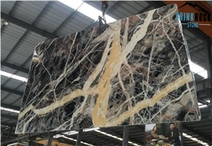 China Jungle Black Marble Slabs Flooring Wall