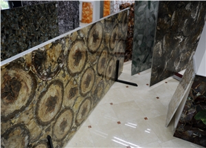 Petrified Wood Semi-Precious Stone Slabs/Gem Stone Tiles/Gemstone Slab