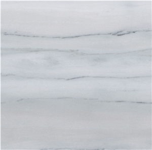 Grey Veiny Atlantis White Marble Slabs Tiles Interior/Home/Hotel Decor