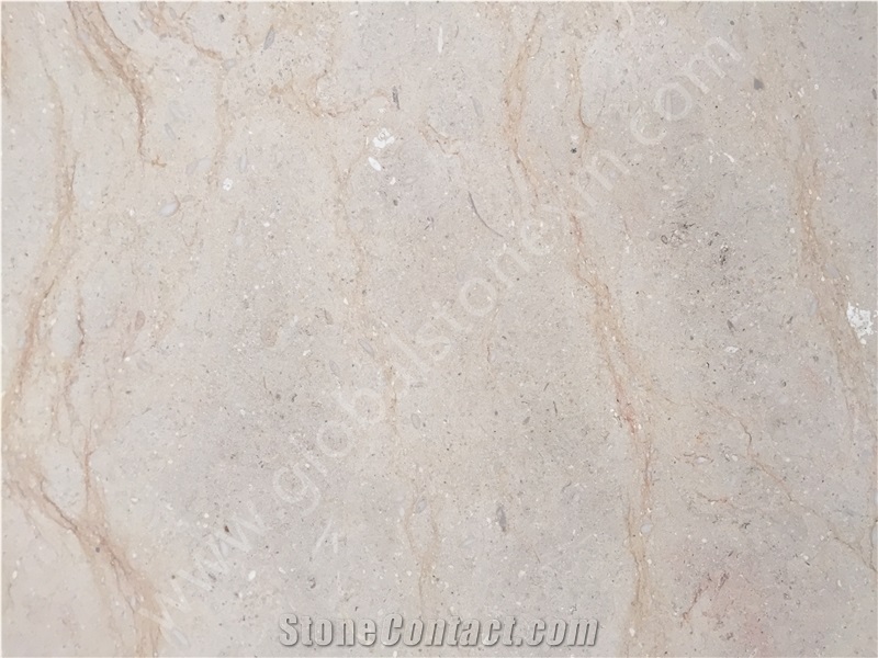 Tippy Beige Limestone Slab Interior Exterior Decor