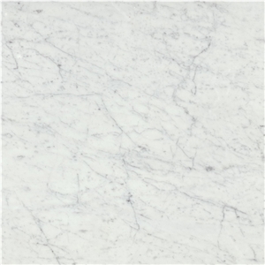 Natural White Marbles and Tiles
