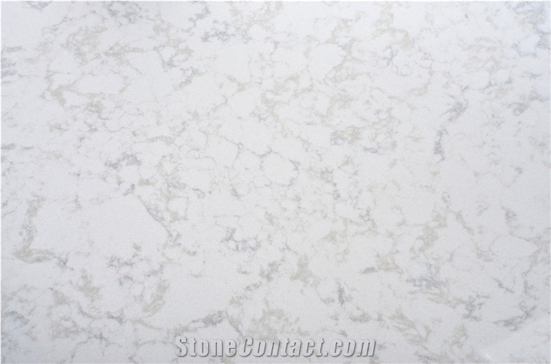 China Quartz Stone VM-17229
