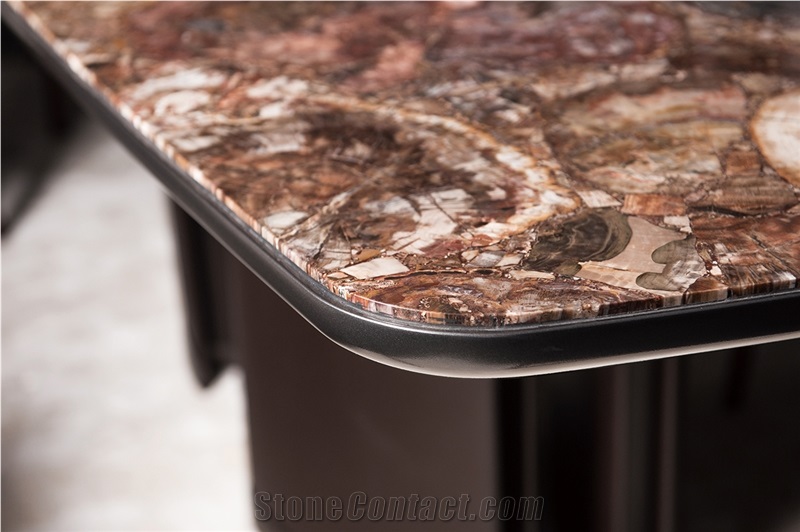 Petrified Wood Table Top