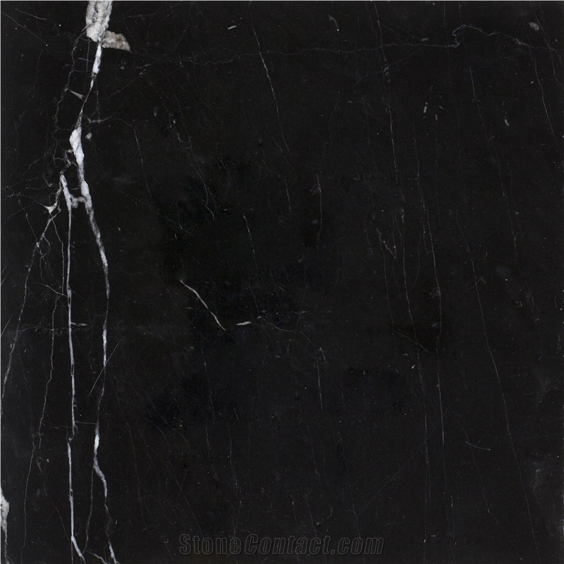 Absolute Black Marble Tiles and Slabs
