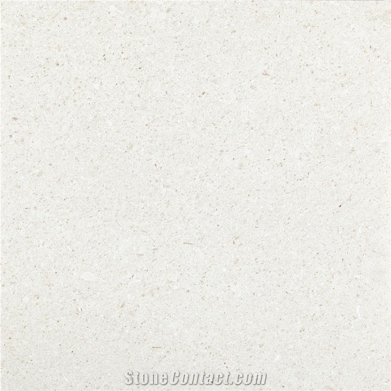 Champagne Limestone Tiles and Slabs