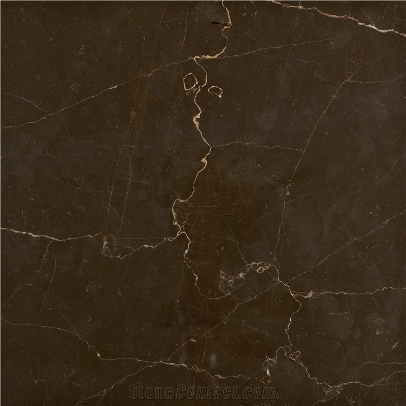 Olive Maron Dark Marble Tiles and Slabs