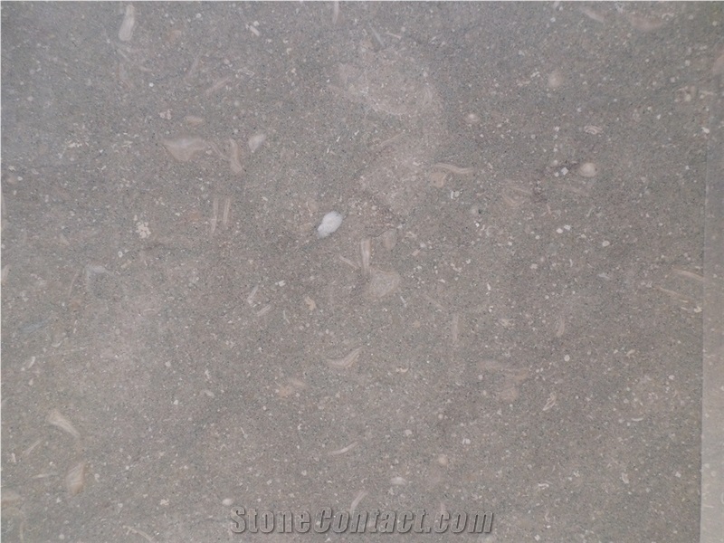 Seagrass Limestone Tiles and Slabs
