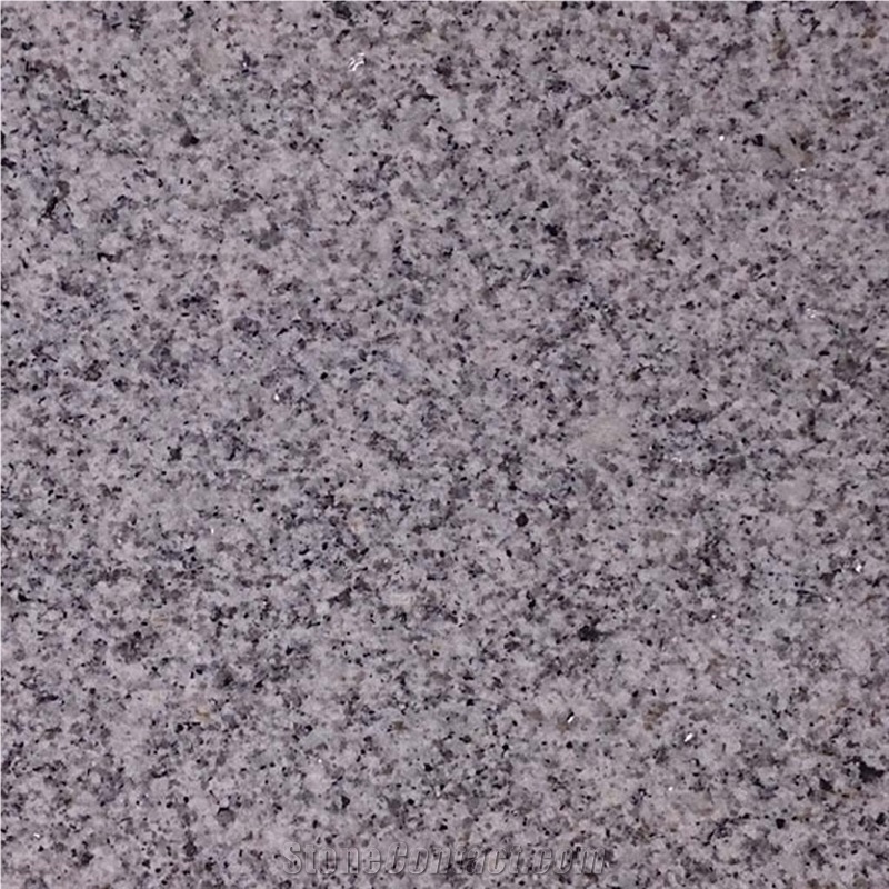 Silvestre Gris - Silvestre Grey Granite Slabs, Tiles