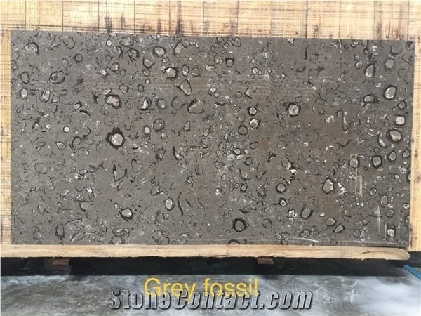 Grey Fossil, Fossil Grey Marble Slabs