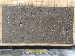 Grey Fossil, Fossil Grey Marble Slabs