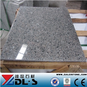 China Grey Stone Granite Tiles & Slabs Cut to Size 60x60