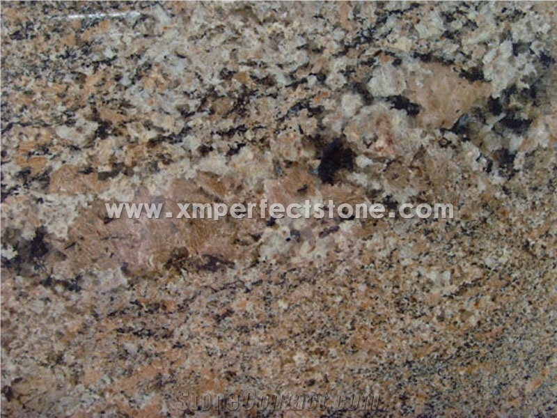 Four Seasons Exotic Granite with Slab