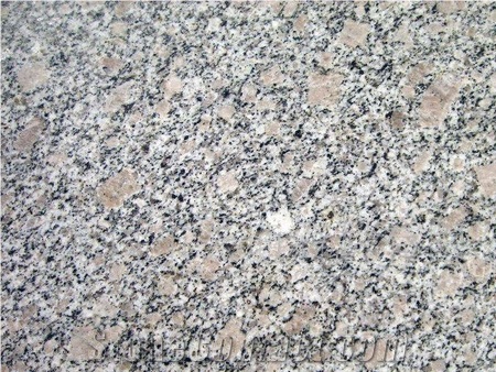 G383 Pearl Flower Granite Polishing Tiles Slabs