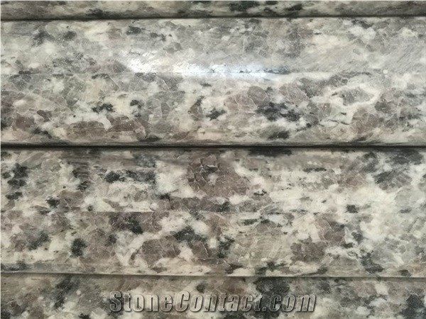 Swan White Granite Polished Stairs/Steps