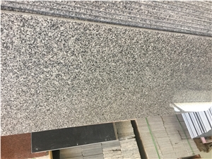 Granite G655,Countertops,Floor Covering,Cladding