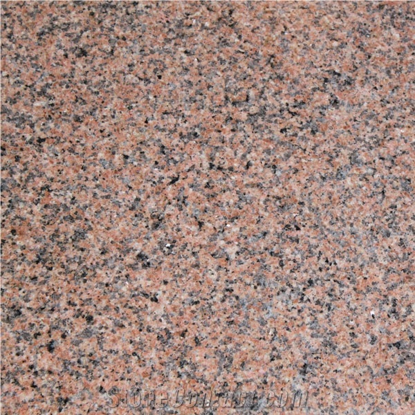 Tianshan Red Granite Slab for Counter Tops