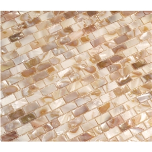 Brown Mother Of Pearl Subway Mosaic Tile