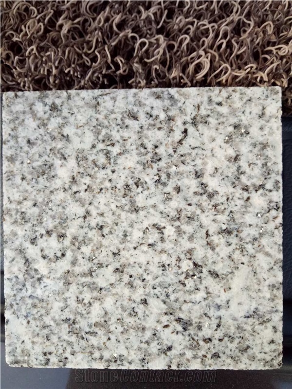 Affordable Granite Galaxy Grey Flooring Wall Tiles