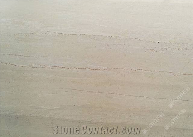 Chinese Fossil Wood Light Marble Slab Wall Tiles