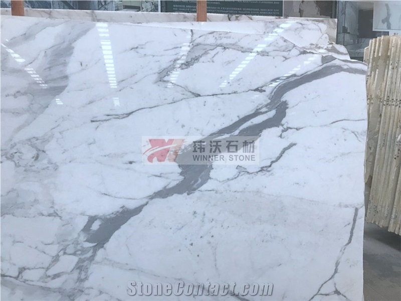 Honed Surface Bianco Statuario Venato Marble Slab