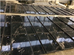 Titanium Black Granite Slabs Flooring Tiles
