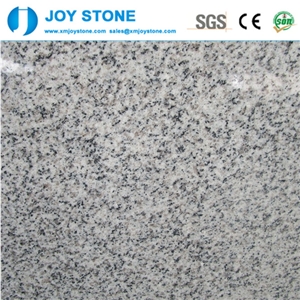 Cheap Price Polished New G603 White Granite Slabs