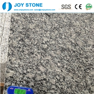 Cheap Price Polished Xinyi Spindrift Granite Tiles
