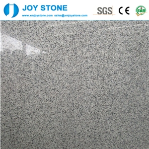 Whole Sale Crystal White G603 Granite Gangsaw Slab