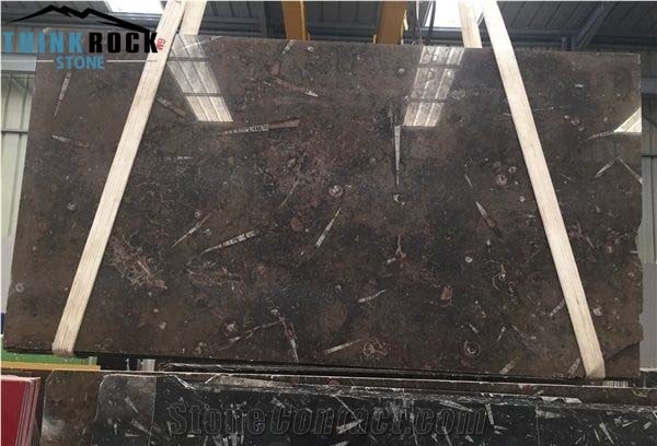 Fossil Brown Marble, Marron Fossil Marble Slabs