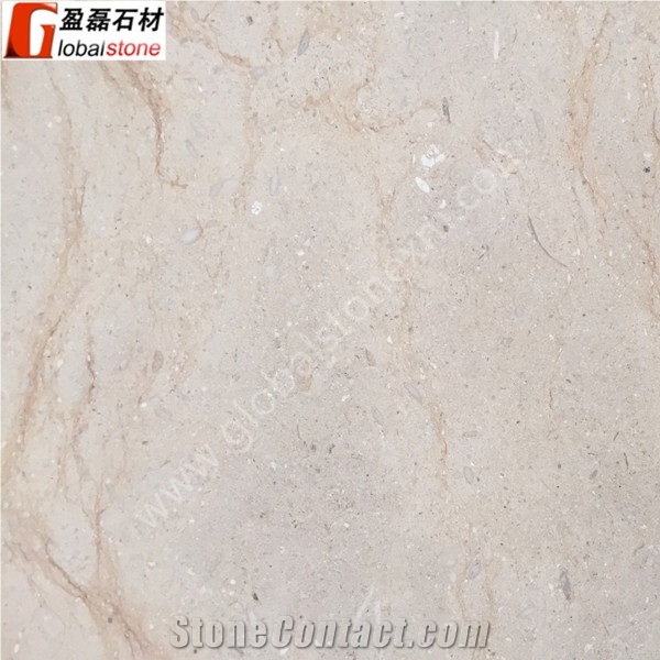Factory Direct Price Tippy Beige Limestone Slabs