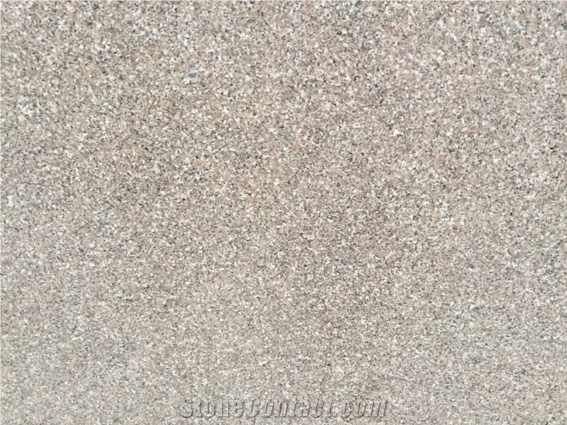 G664 Granite Granite Big Slabs Gangsaw