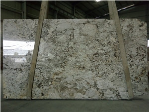 Hot Selling Bianco Antico Slabs for Washing Room