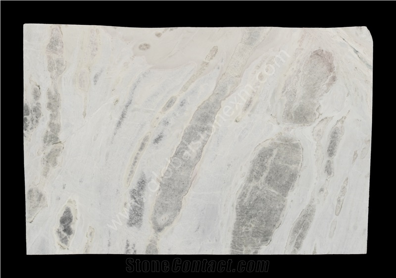 Sea Reef Slabs Tiles for Outdoor and Indoor Decor