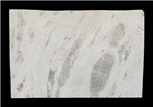 Sea Reef Slabs Tiles for Outdoor and Indoor Decor