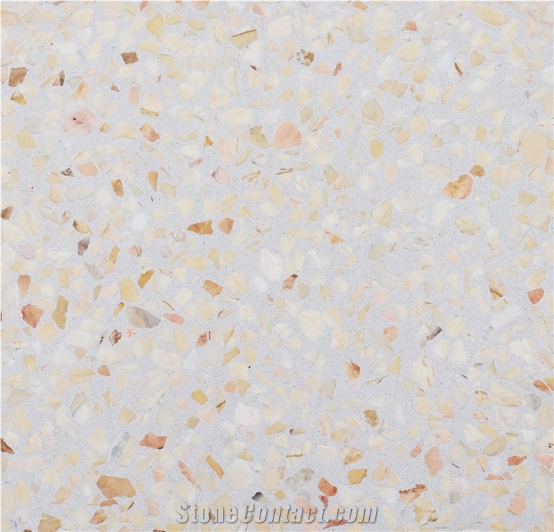Thanh Tuyen Interior Terrazzo Floor Tile N23