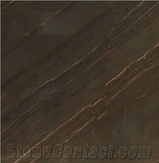 Elegante Brown Quartzite Slabs&Tiles Polished