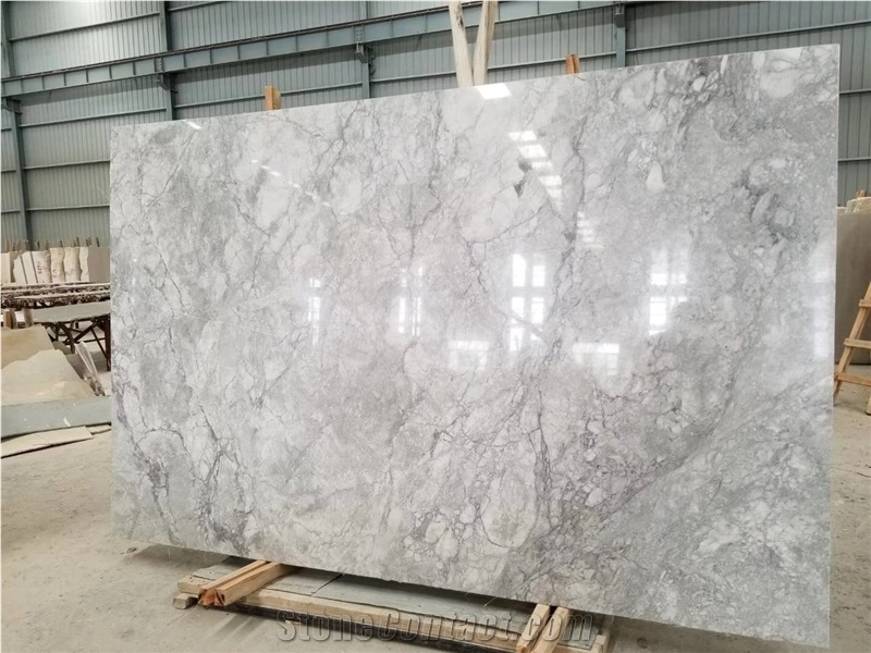 Super White Silver Staturio Quartzite Slab Tile